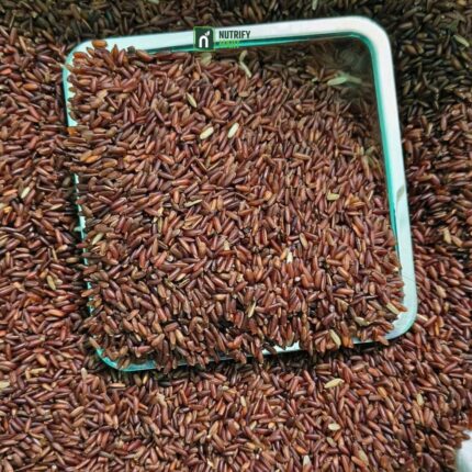 Ganjia FullFiber(গাঞ্জিয়া ফুলফাইবার) - Lal Chal