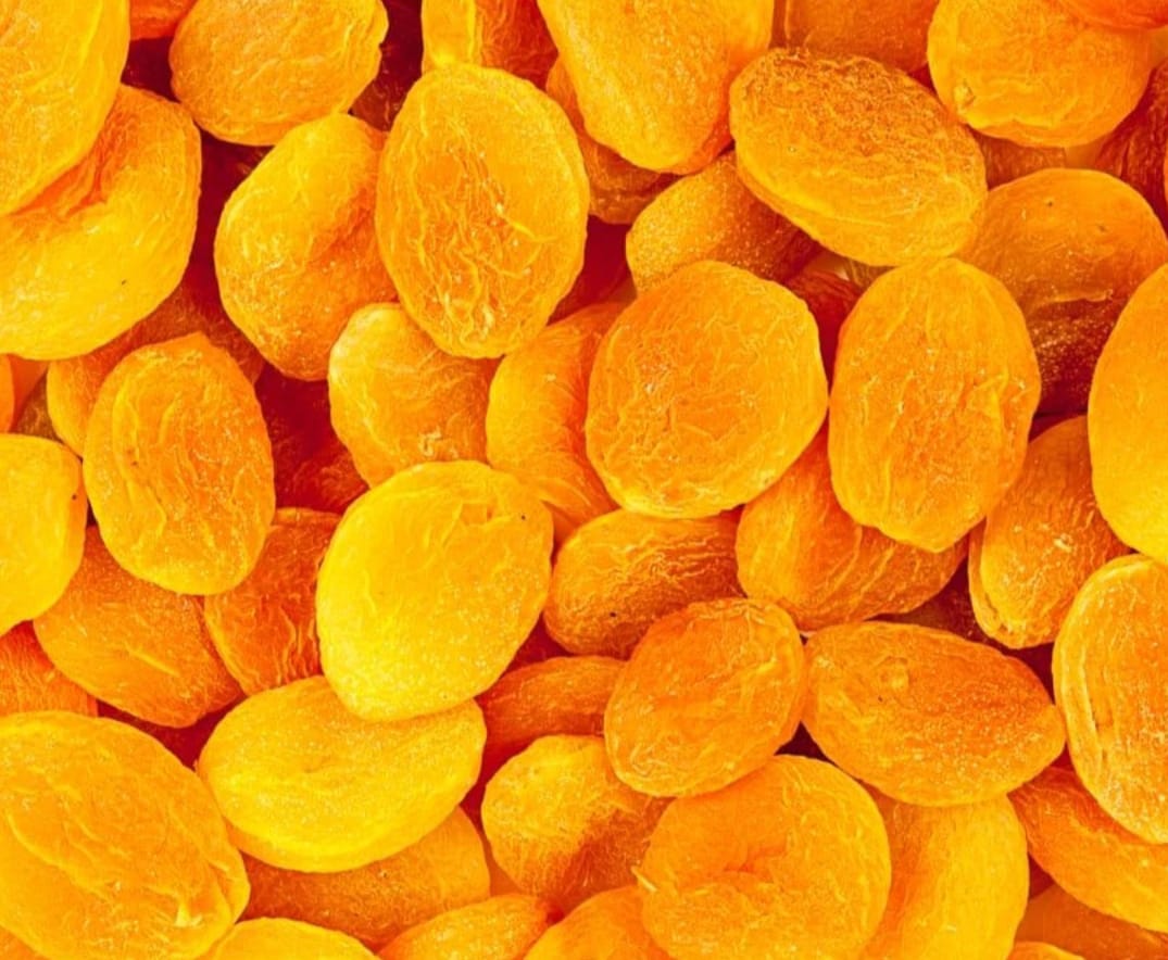 WhatsApp Image 2026-02-05 at 11.33.51 PM