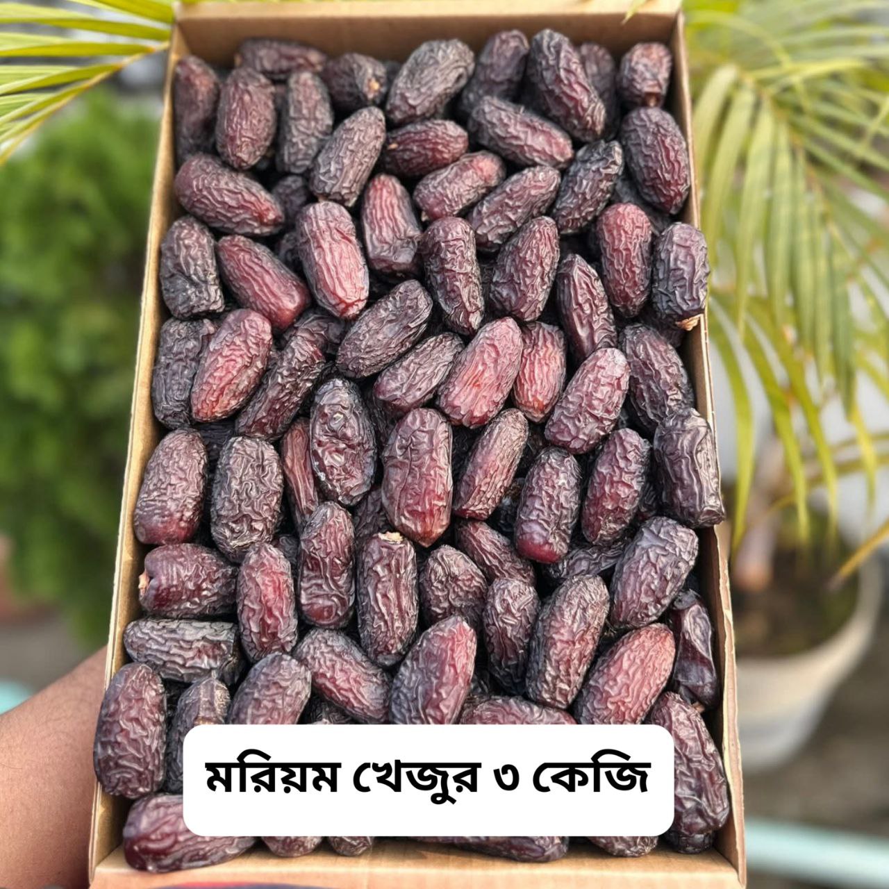 photo_2026-02-12_15-20-13